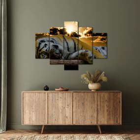 Obraz spiaceho tigra (150x105 cm)