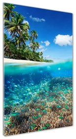 Vertikálny foto obraz akrylový do obývačky Koralový útes oav-78236057