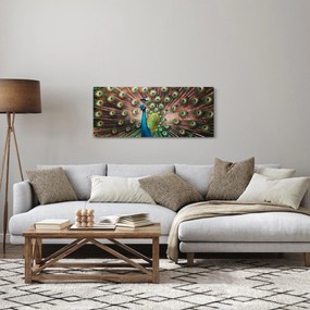 Obraz - Páv (120x50 cm)