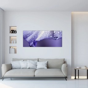 Obraz - Okvetný lístok s kvapkami (120x50 cm)