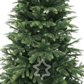 Smrek Himalájsky 180 cm