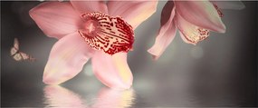 Obraz - Kvety a motýľ (120x50 cm)