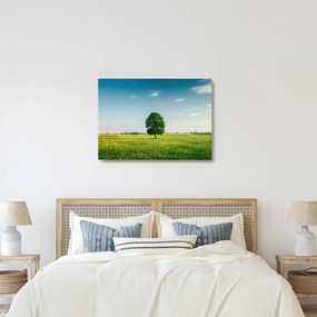 Sklenený obraz stromu uprostred lúky (70x50 cm)