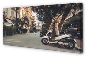 Obraz canvas mestské Motocykle palmového leta 140x70 cm