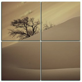 Obraz na plátne - Červené piesočné duny - štvorec 3133FE (100x100 cm)