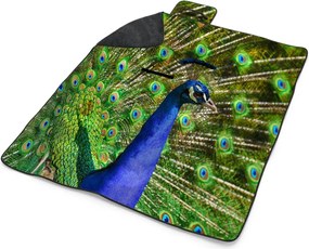 Sablio Plážová deka Páv: 200x140 cm