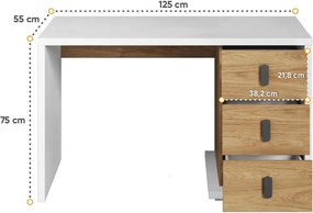 Písací stôl Karlos 125cm dub hikor