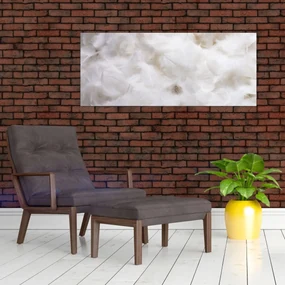 Obraz - Biele perie (120x50 cm)