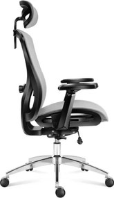 Kancelárska stolička Expert 5.3 Grey Mesh