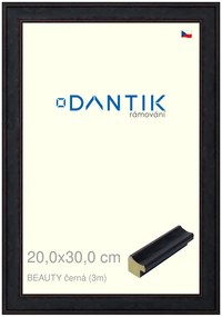 DANTIK rám na obraz 20x30 | BEAUTY černá (Sklo Čiré)