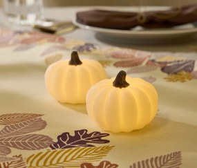 Tekvice zo skutočného vosku, 2 ks