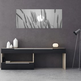 Obraz - Lúka pri západe slnka (120x50 cm)