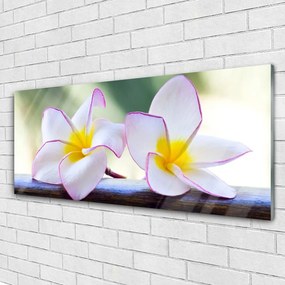 Obraz plexi Kvety plátky plumérie 125x50 cm