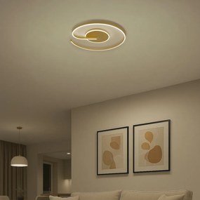 Stropné LED svietidlo Lorenzo, 1x LED 22w, 4000k, g