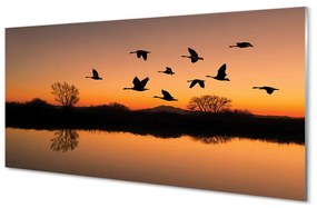 Nástenný panel  Lietajúce vtáky sunset 125x50 cm