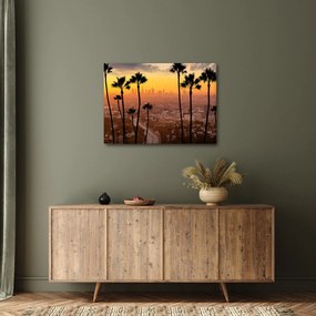 Obraz - Panorama Los Angeles (70x50 cm)