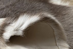 Koberec RENIFER POK017 sivý / biely