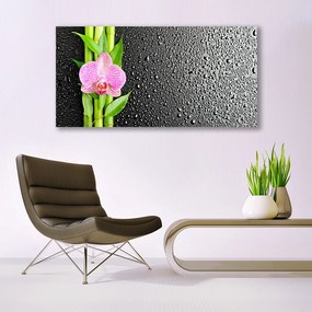 Obraz na akrylátovom skle Bambus stonky kvet rastlina 120x60 cm