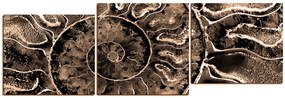 Obraz na plátne - Textúra fosílie - panoráma 5174FE (120x40 cm)
