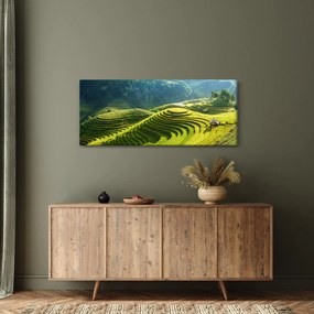 Obraz - Koncert ryžových terás (120x50 cm)