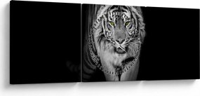 Obraz - Tiger so žltými očami (s hodinami) (90x30 cm)
