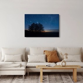 Obraz stromov v noci (90x60 cm)