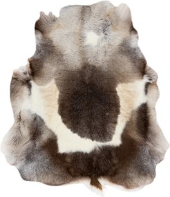 Koberec RENIFER POK019 hnedý