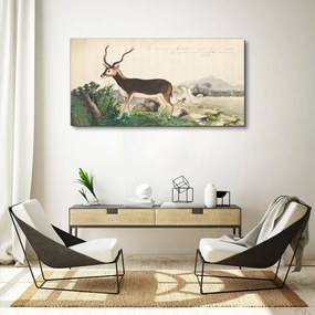 Obraz Canvas Gazelle zvieratá kreslenie