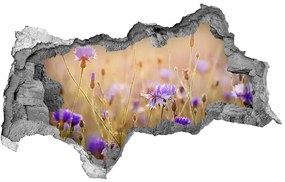 Samolepiaca diera nálepka Poľné kvety nd-b-70602610