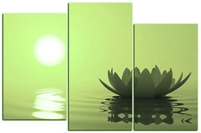 Obraz na plátne - Zen lotus 1167ZC (90x60 cm)