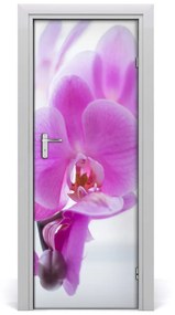 Fototapeta na dvere ružová orchidea 75x205 cm