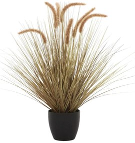 Hnedá poľná tráva v kvetináči 68cm