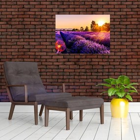 Sklenený obraz levanduľového poľa (70x50 cm)