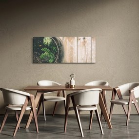 Obraz sukulentov v skle (120x50 cm)