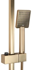 REA-P7050 - Sprchová súprava s batériou JACK, brúsené zlato