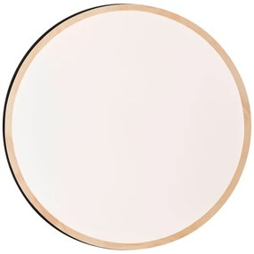 Brilliant - LED St. stropné svietidlo BAARLO LED/36W/230V pr. 50 cm čierna + DO