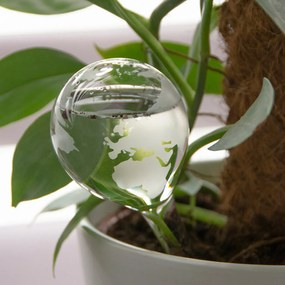 Zavlažovacia guľa Globe, 20x6,5 cm, transparentná