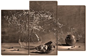 Obraz na plátne - Zátišie - vetva a granátové jablko 1274FD (105x70 cm)