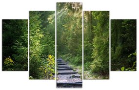 Obraz na plátně pětidílný Lesní příroda Zelená krajina - 100x70 cm