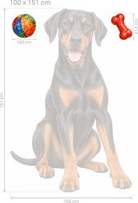 Doberman s loptičkou a kosťou realistické textilné nálepky na stenu pre milovníkov dobermanov arch 31 x 46 cm