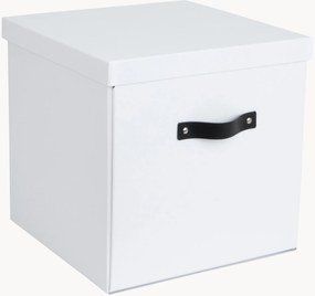 Úložná škatuľa Logan