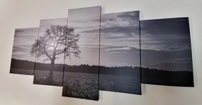 5-dielny obraz osamelého stromu v čiernobielom prevedení - 200x100