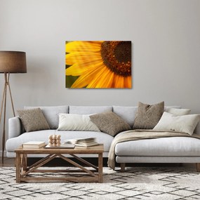 Sklenený obraz - Slnečnica (70x50 cm)
