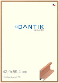DANTIK rám na obraz 42x59,4 | ALU Dýha třešeň (Plexi Čiré)