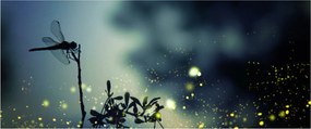 Obraz - Vážka za trblietavej noci (120x50 cm)