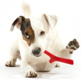 BAMA Hračka pre psov TUTTOMIO MINI Barva: hnědá