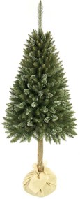 Vianočný stromček Smrek ľadový na pníku 220 cm