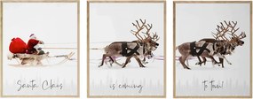 XXXLutz SADA OBRAZOV, 33/48/2 cm X-Mas - Obrazy - 003808014301
