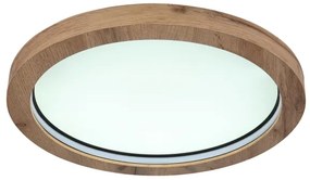 Globo 41374-24R - LED RGBW Stmievateľné stropné svietidlo BRANZA LED/24W/230V + DO