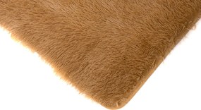TA Koberec BEIGE BEIGE SILK Béžový Obdĺžnikový Rozmer: 120x170 cm